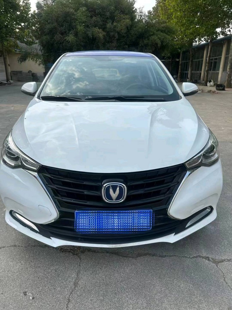 东营20年长安汽车悦翔1