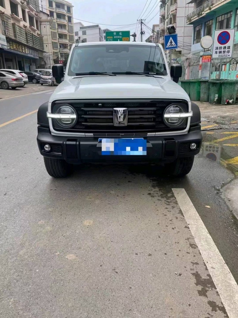 湘潭22年長城汽車坦克3001