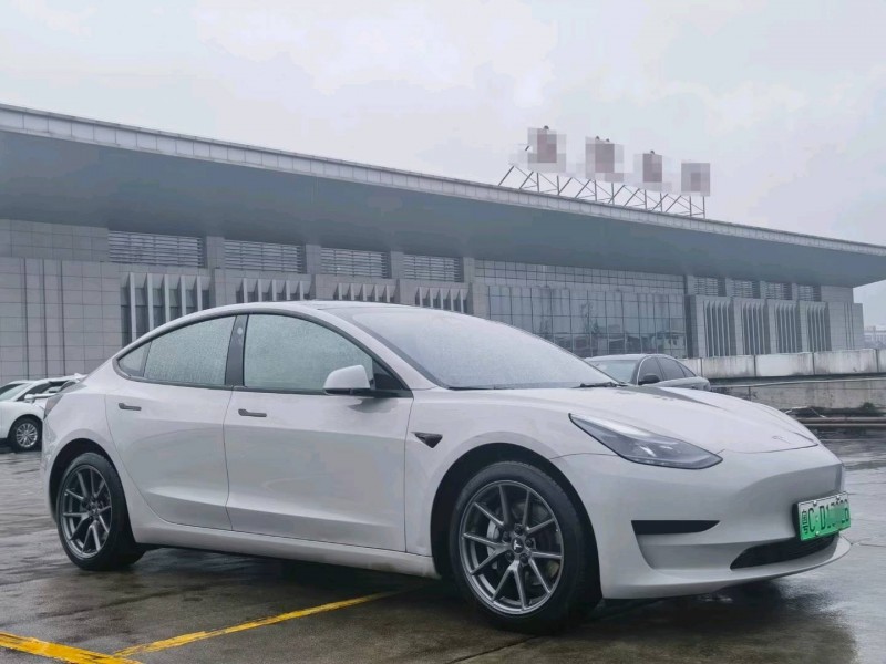 東莞21年特斯拉MODEL 33