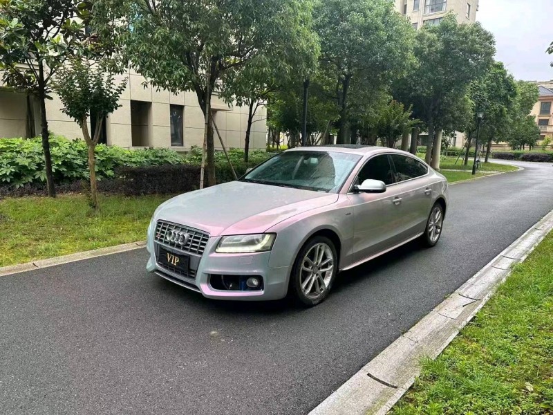 臺州11年奧迪A53