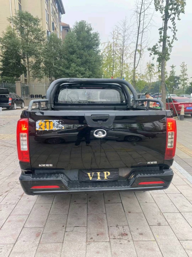 成都22年长城汽车炮 皮卡7