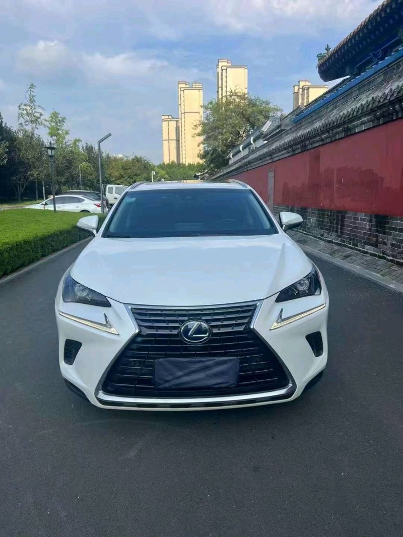 济宁18年雷克萨斯NX1