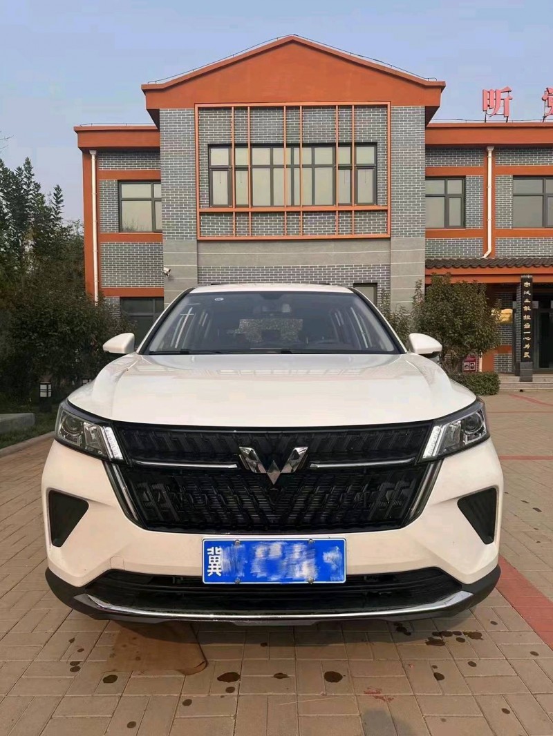 天津23年五菱汽車星辰1