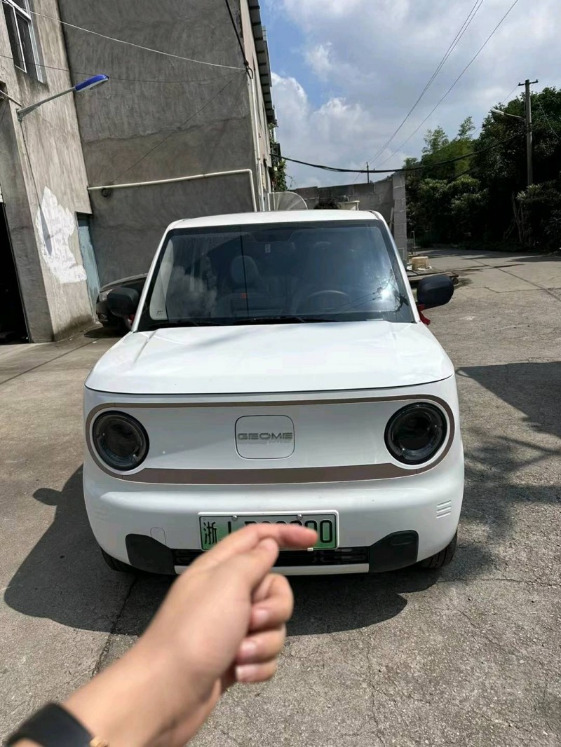 臺州23年吉利熊貓1