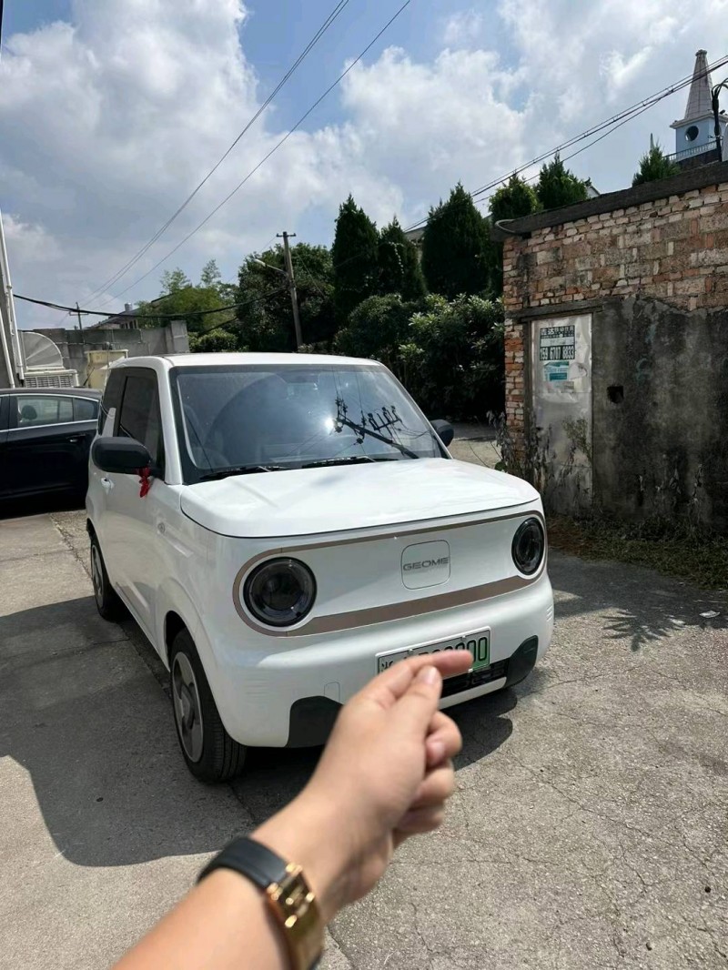 臺州23年吉利熊貓2