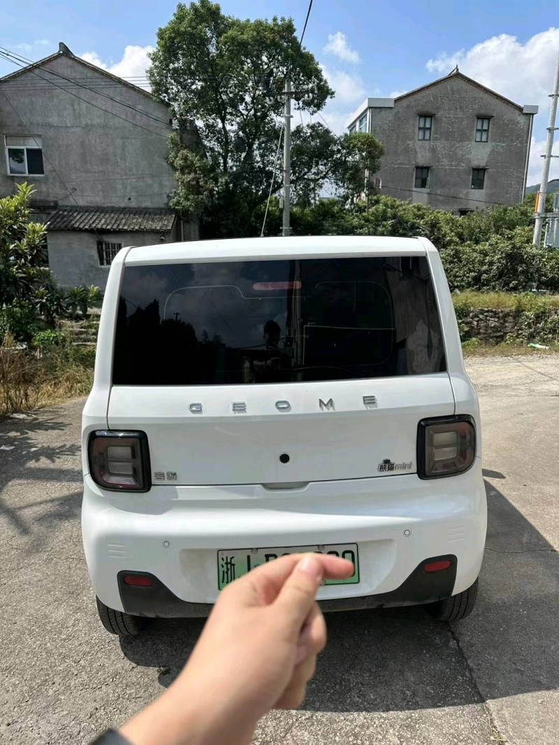 臺州23年吉利熊貓3