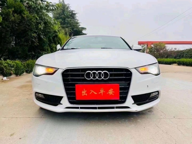 东营14年奥迪A51