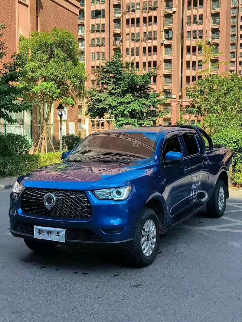 萍鄉21年長城汽車炮 皮卡2