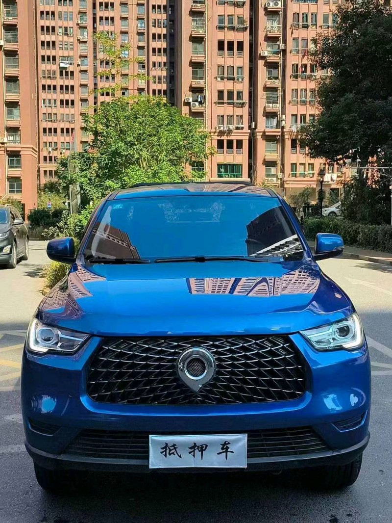 九江21年長城汽車炮 皮卡1