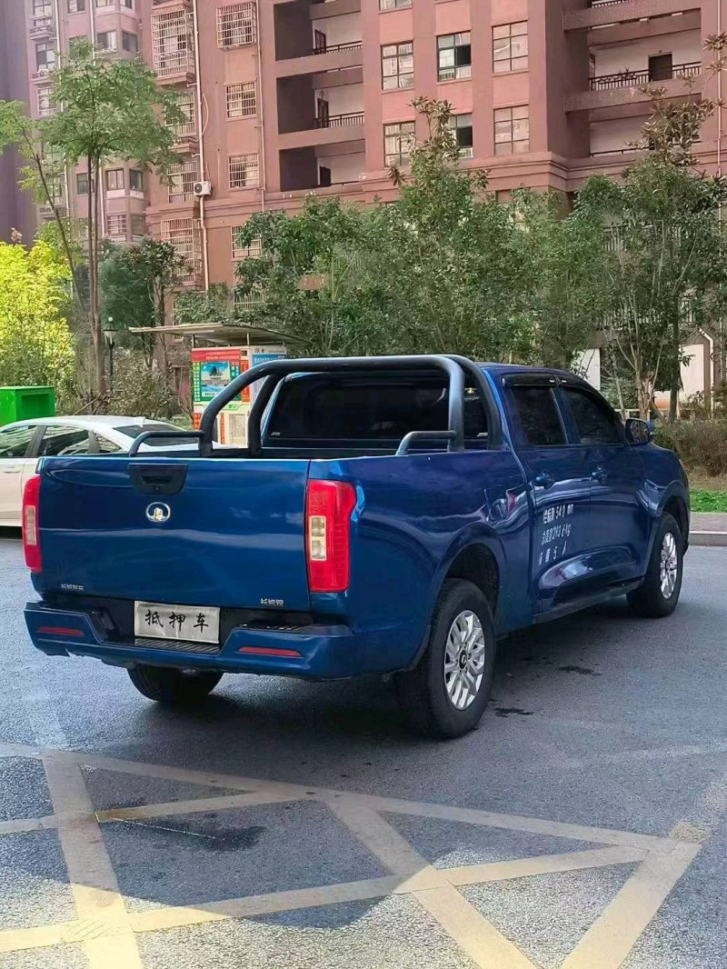 九江21年長城汽車炮 皮卡4