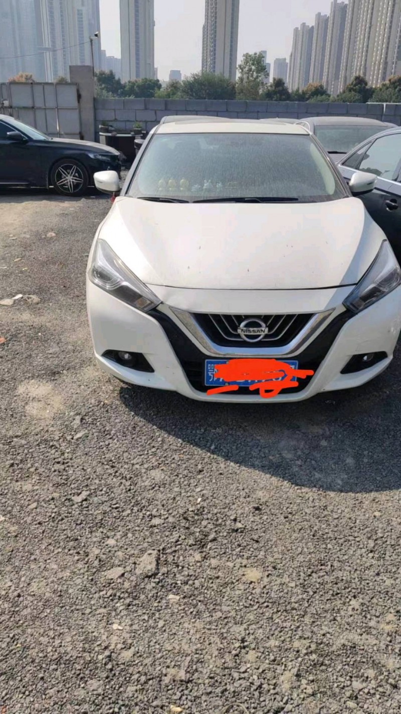 宜昌19年日產藍鳥1