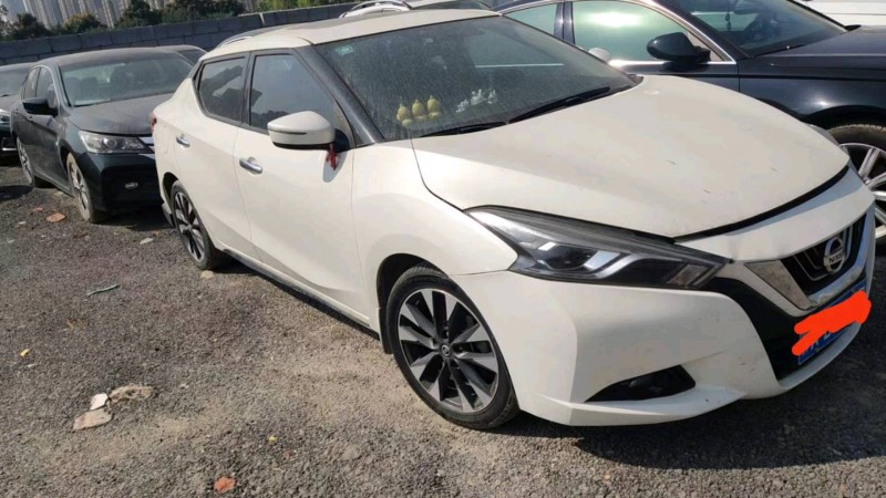 宜昌19年日產藍鳥6