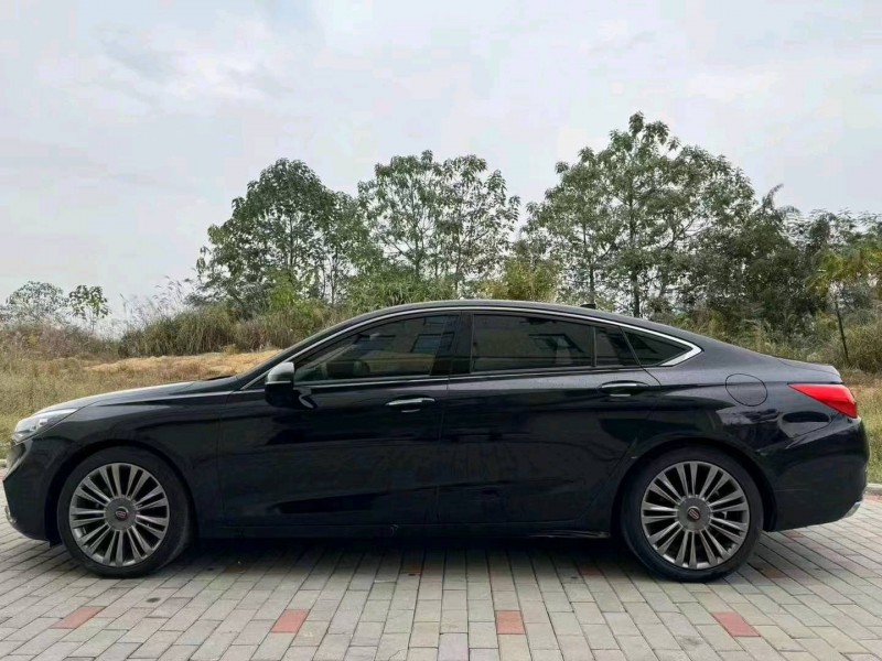 衡阳20年红旗H58