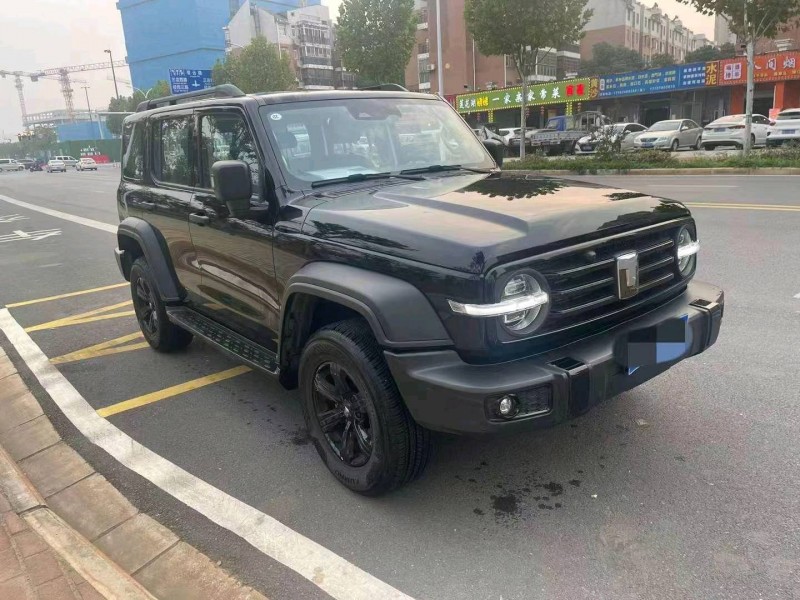 淮南23年長城汽車坦克3003