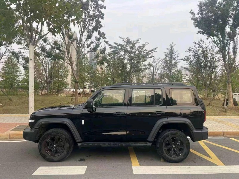淮南23年長城汽車坦克3004