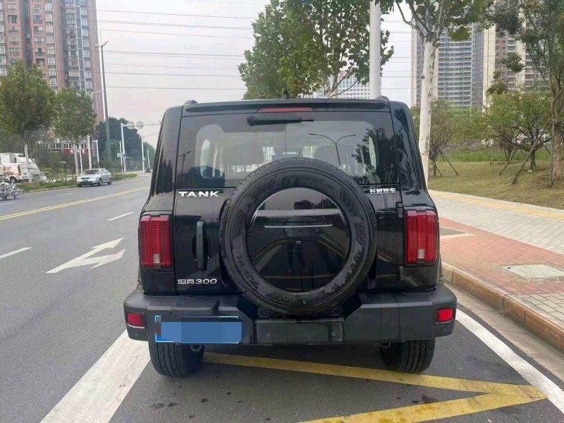 淮南23年長城汽車坦克3005