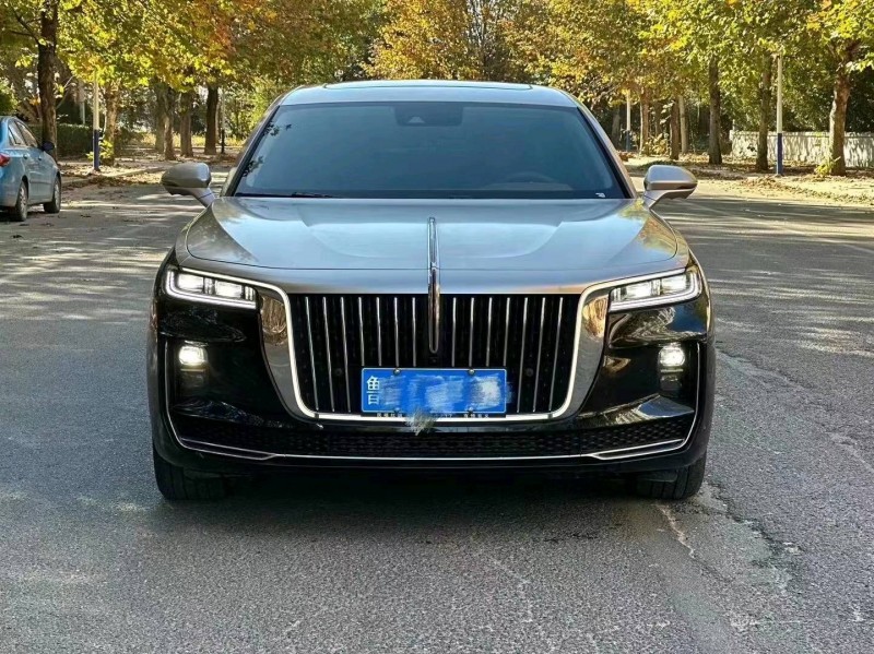 枣庄22年红旗H91