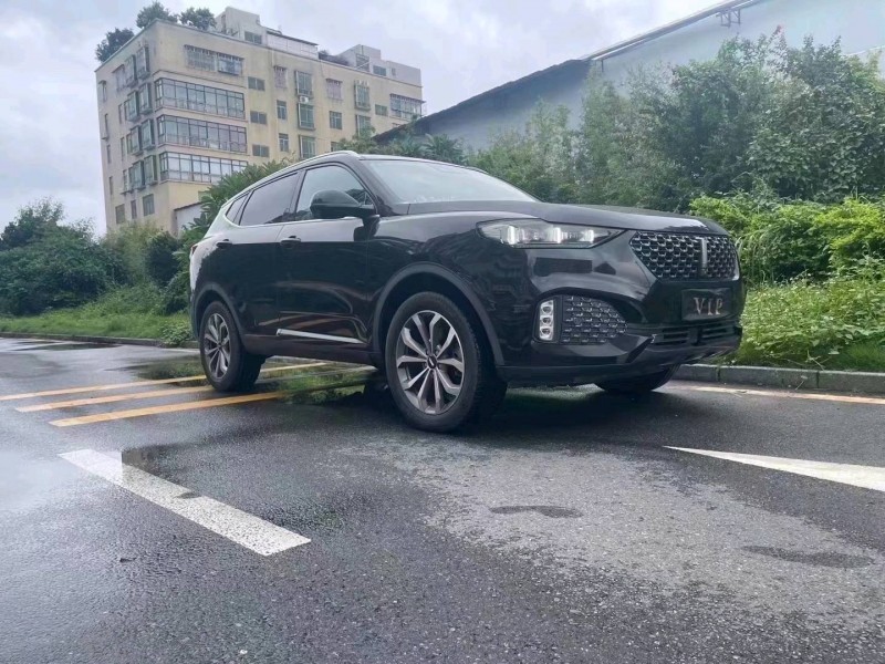 汕头20年长城汽车WEY VV61