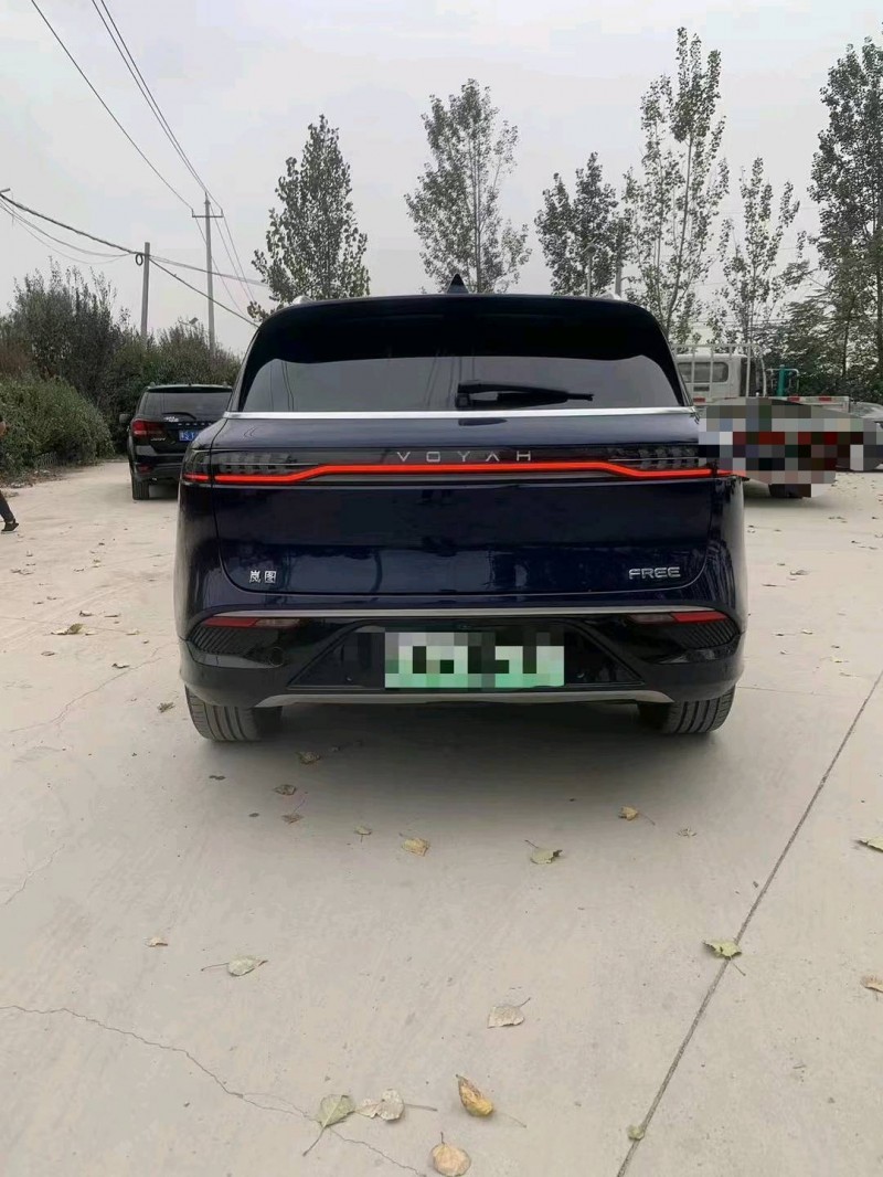 菏澤21年嵐圖汽車FREE9