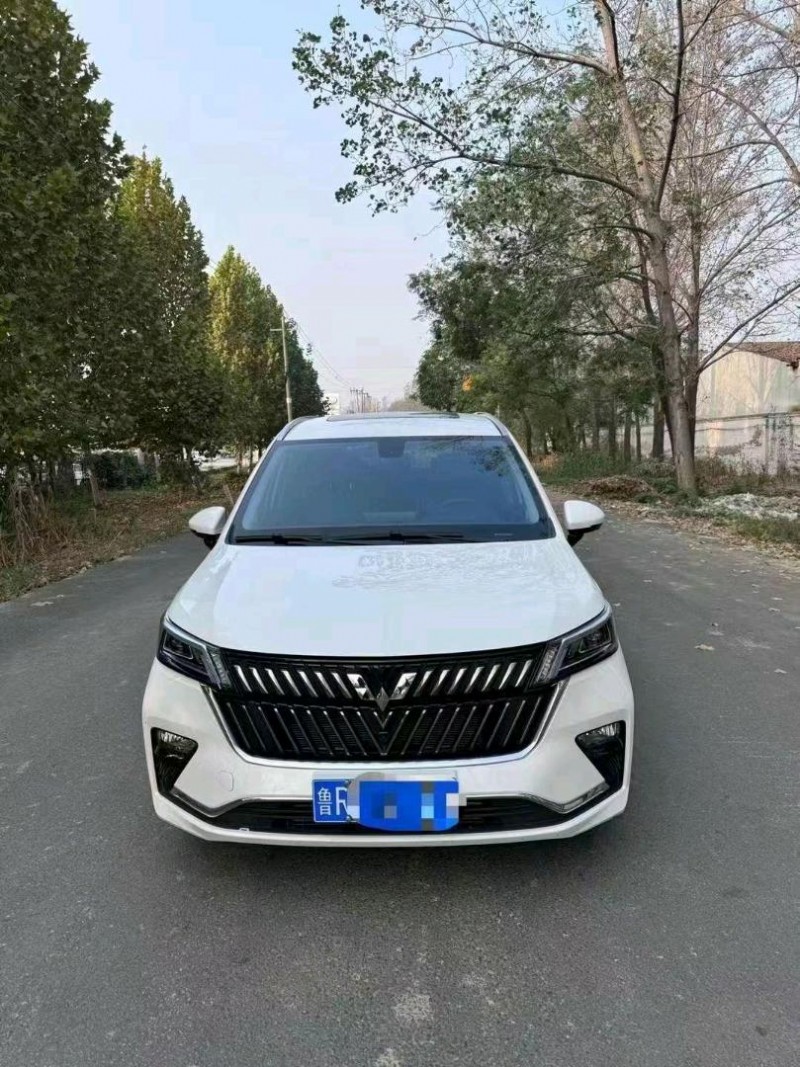 棗莊22年五菱汽車佳辰1