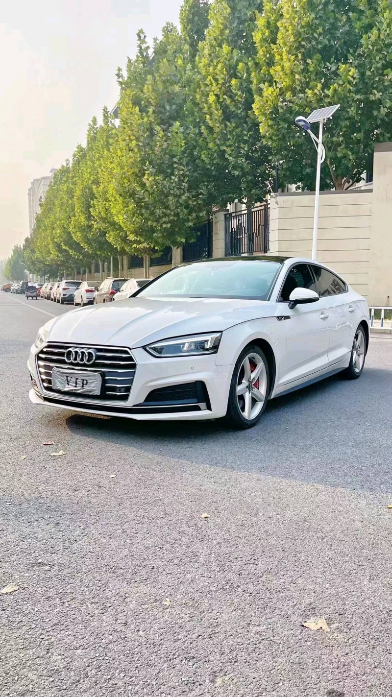 廊坊18年奥迪A52