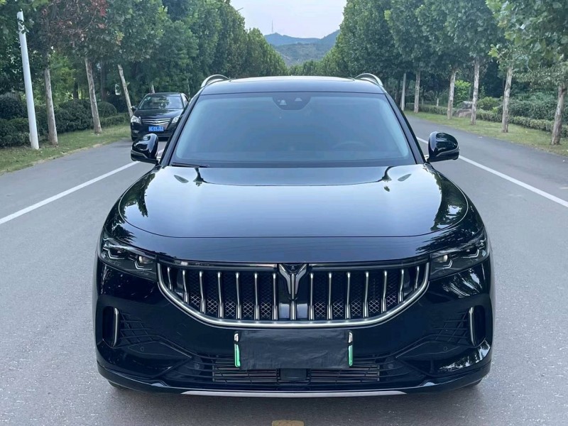 徐州22年嵐圖汽車FREE1