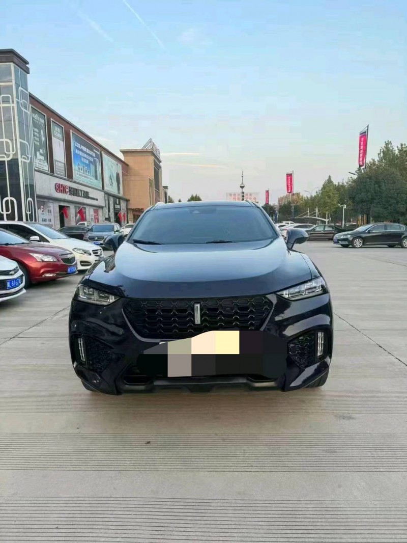 平頂山19年長城汽車WEY VV71