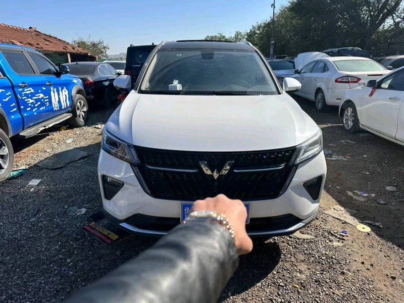 淄博22年五菱汽車星辰1
