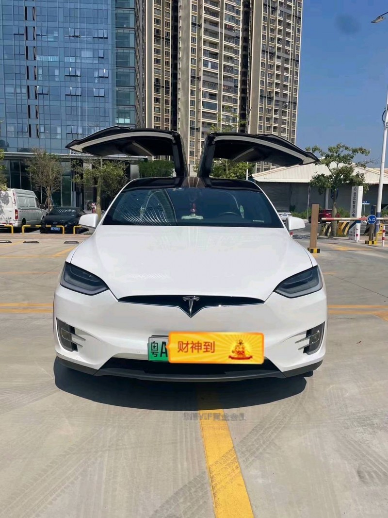 廣州20年特斯拉MODEL X1