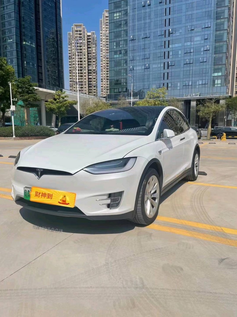廣州20年特斯拉MODEL X3
