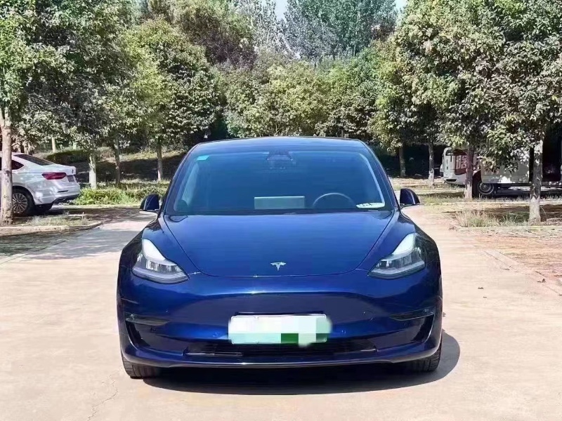 菏澤20年特斯拉MODEL 31