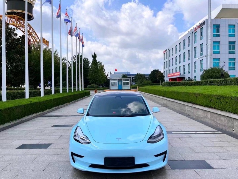 棗莊20年特斯拉MODEL 31