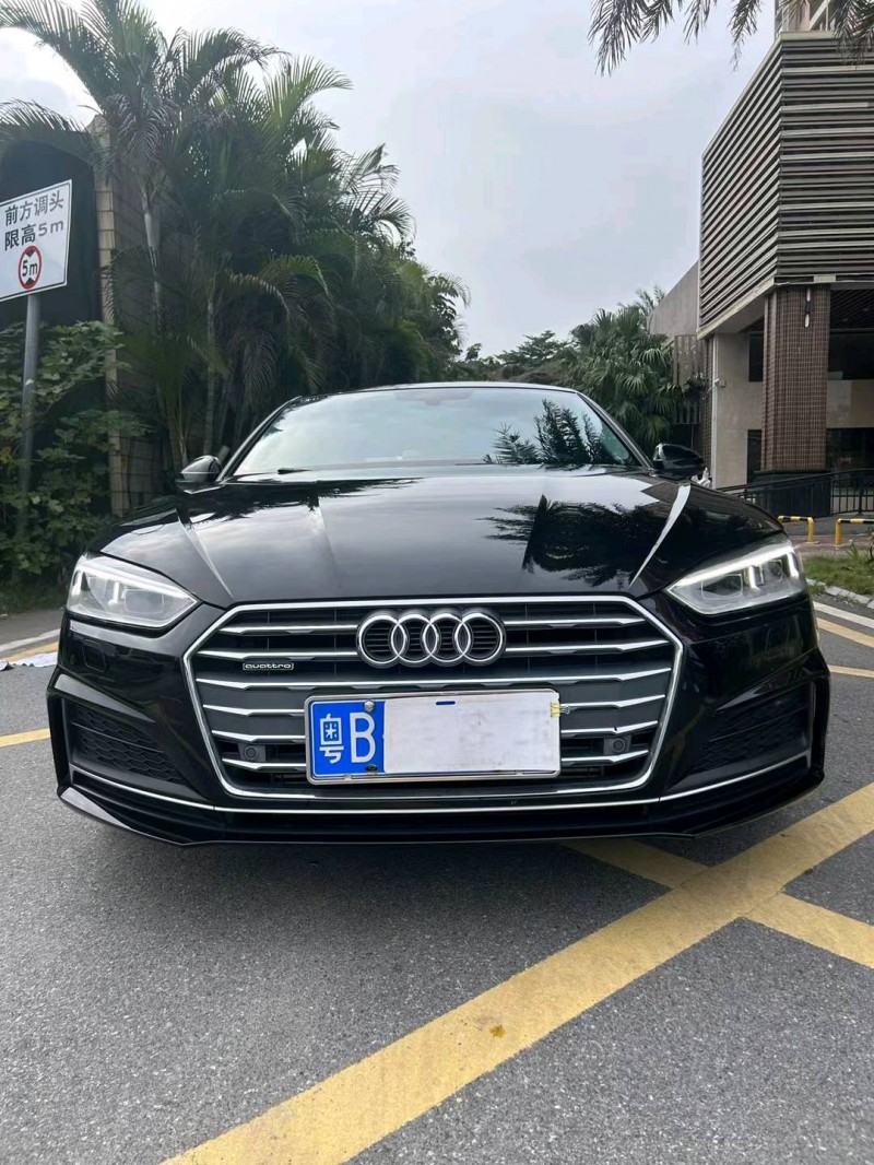 佛山20年奥迪A51