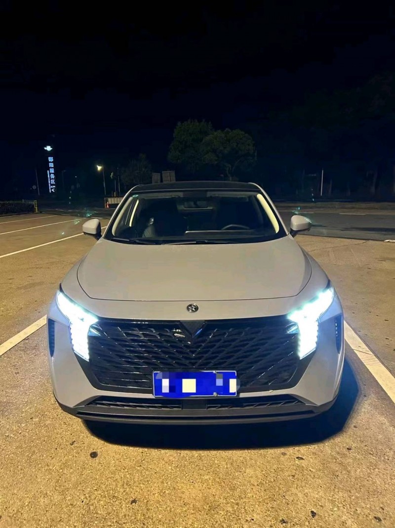 萍鄉23年啟辰大V1