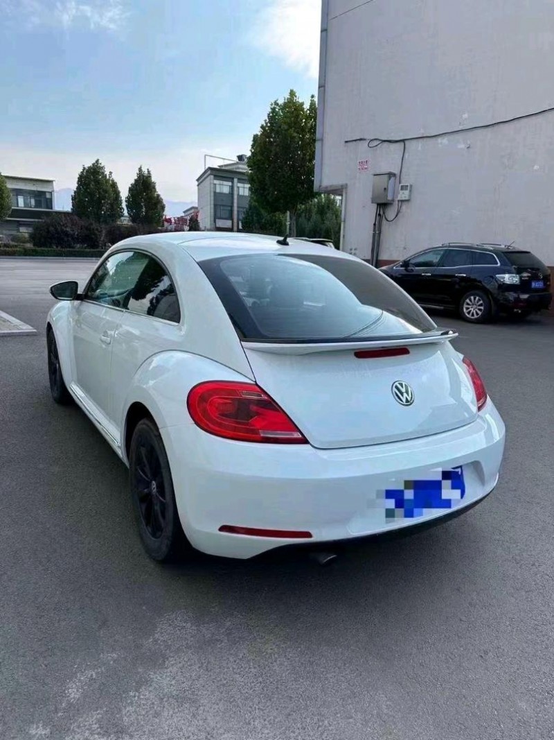長治15年大眾甲殼蟲3