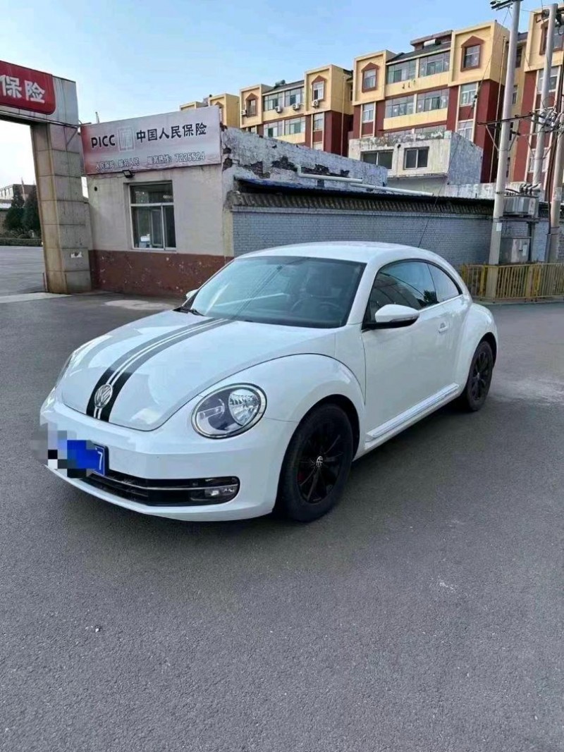 長治15年大眾甲殼蟲4