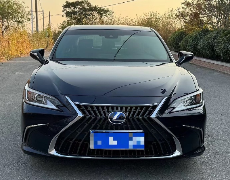 青岛22年雷克萨斯LM300H1