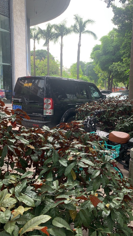 重庆12年路虎发现6