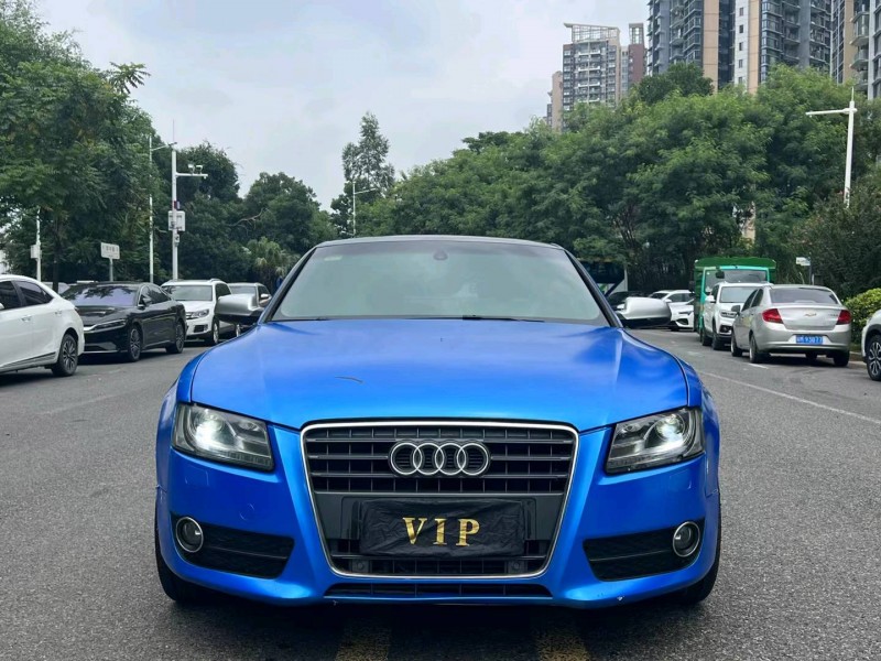 广州10年奥迪A51