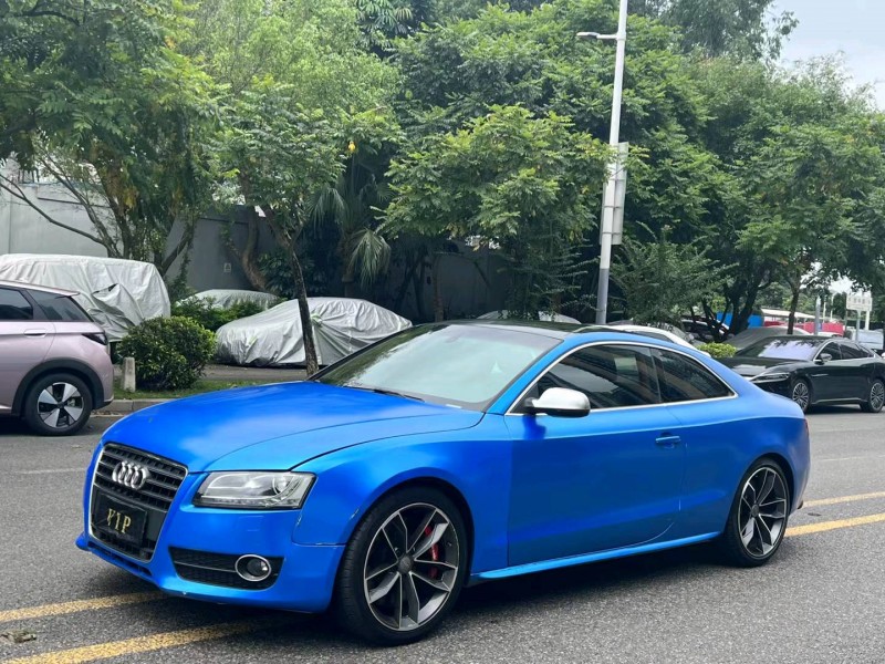 广州10年奥迪A53