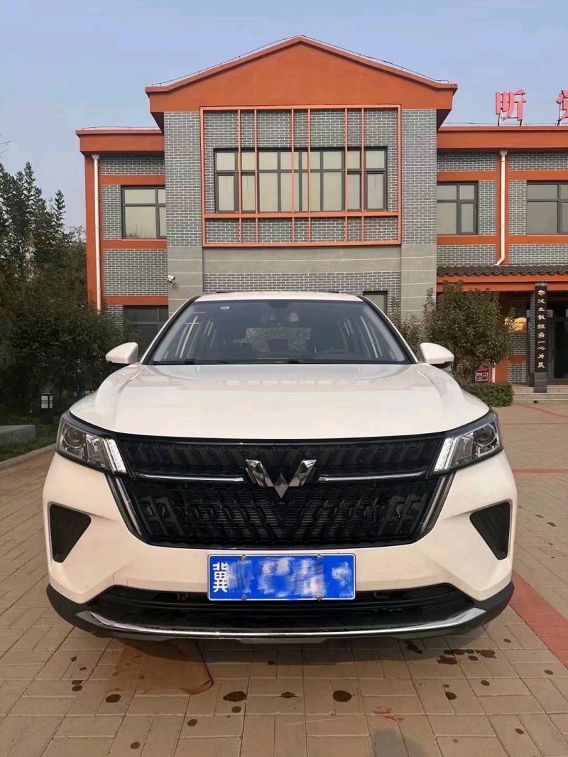 天津23年五菱汽車星辰1