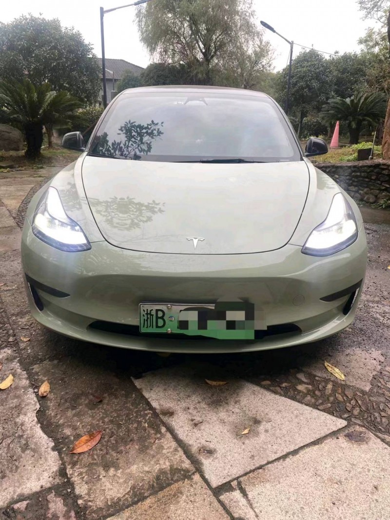 溫州23年特斯拉MODEL 31