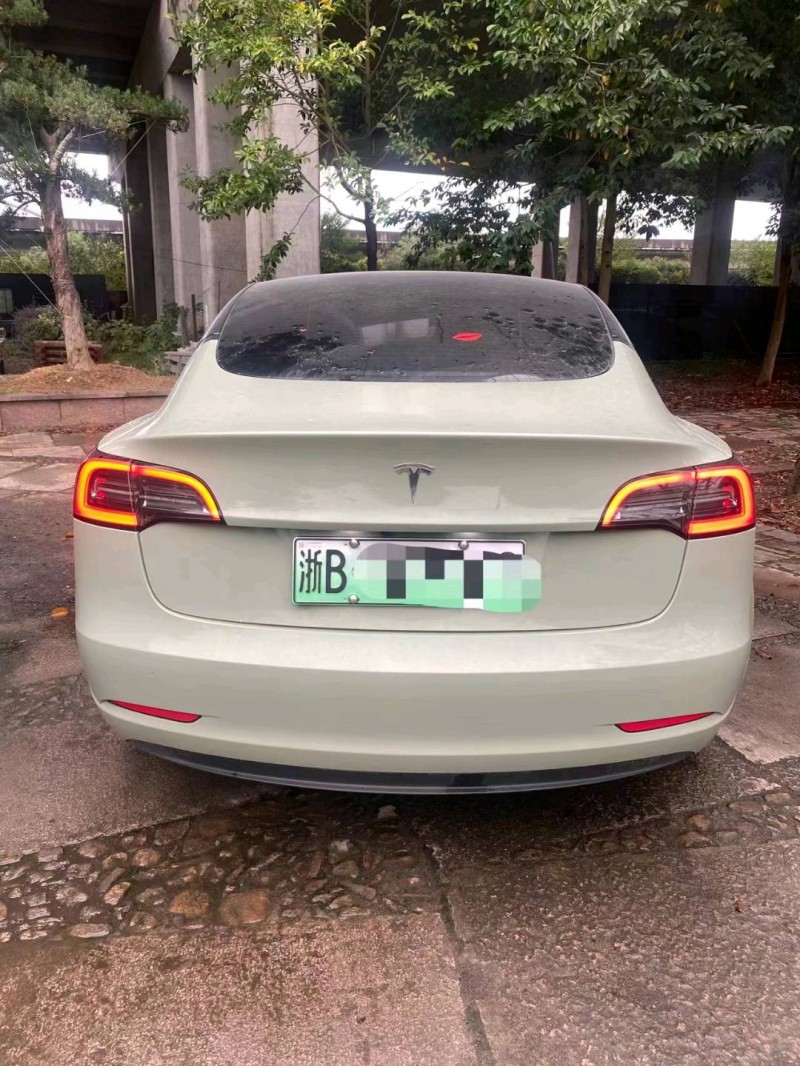溫州23年特斯拉MODEL 34