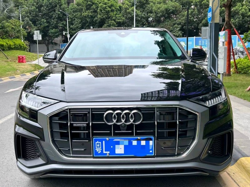 广州23年奥迪Q81
