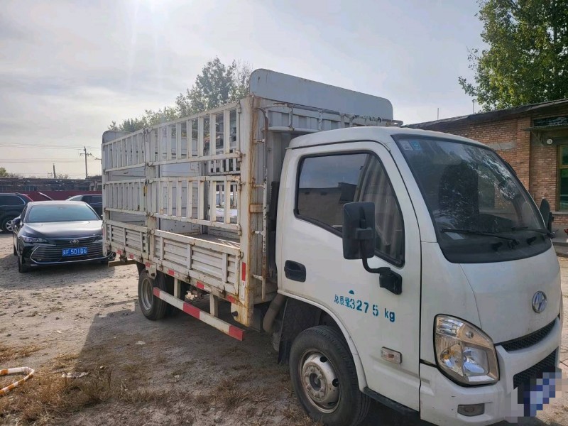 保定20年跃进轻卡2