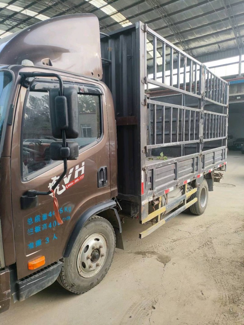 保定19年解放解放卡车3