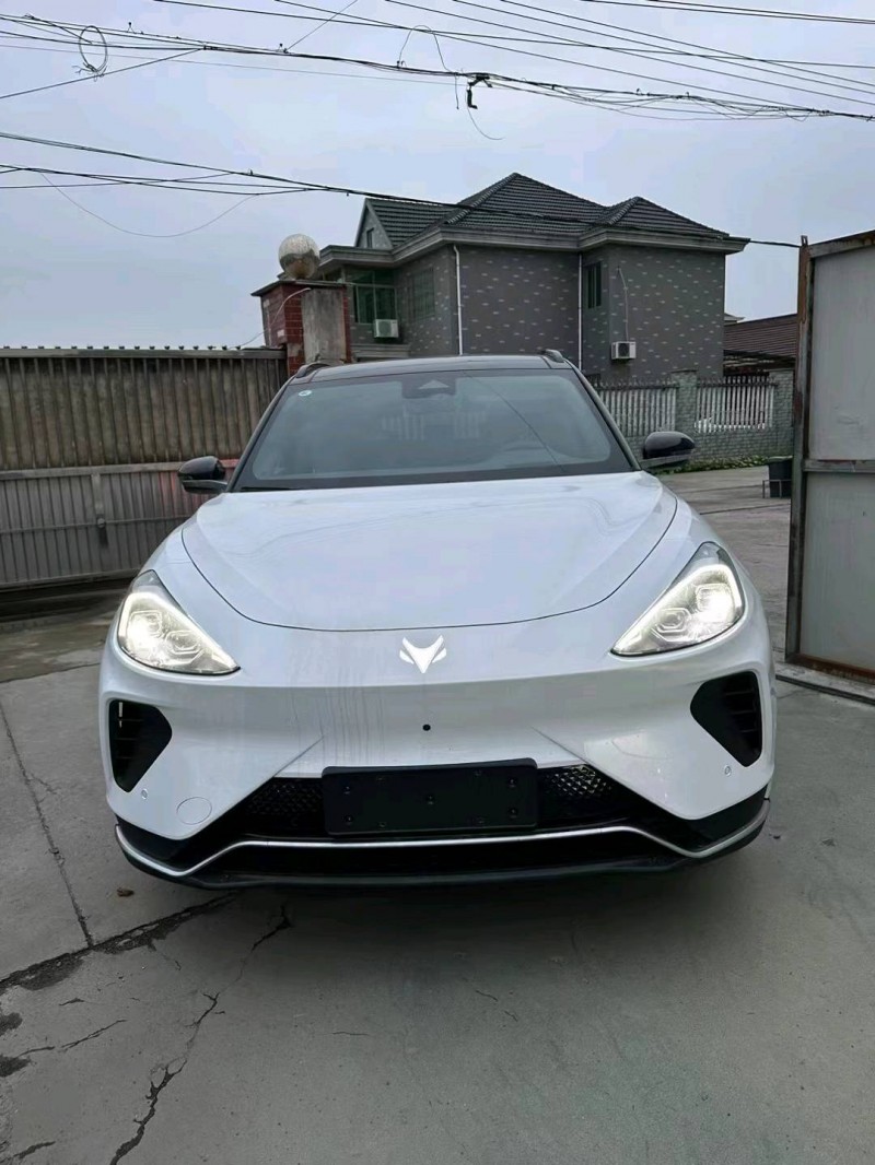 嘉兴23年极狐汽车阿尔法1