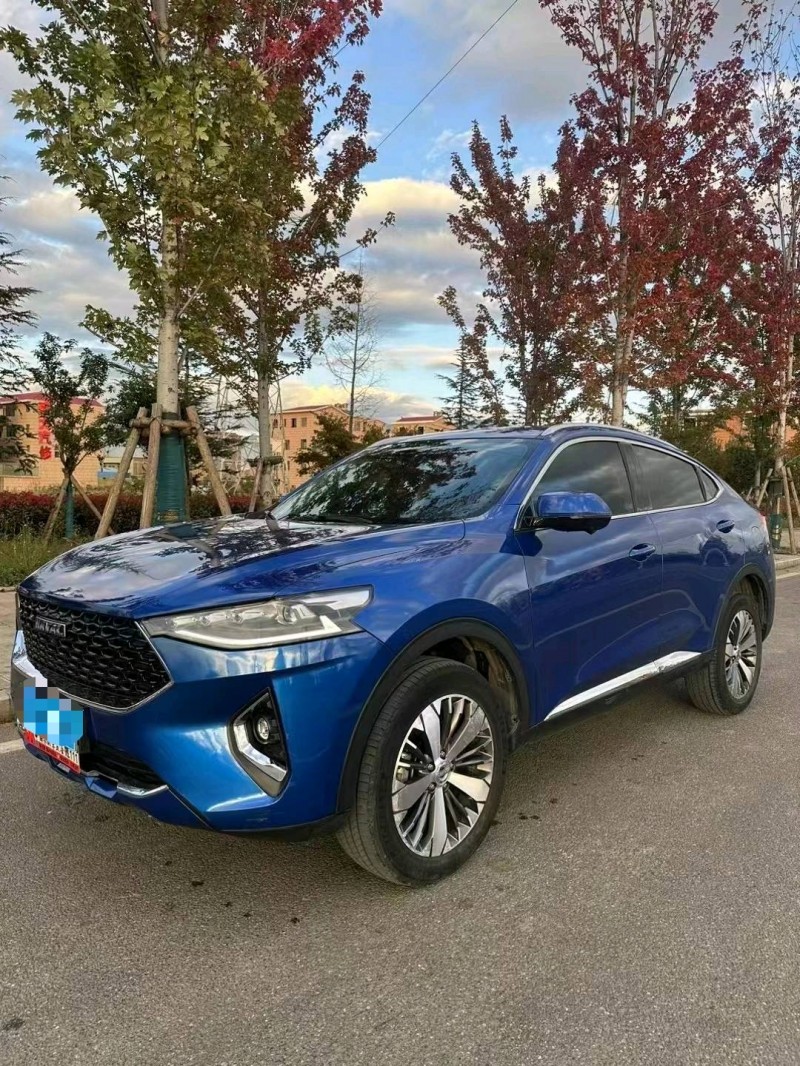 昭通19年哈弗F7x3