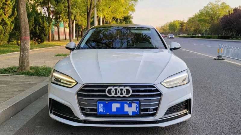 邯郸18年奥迪A51