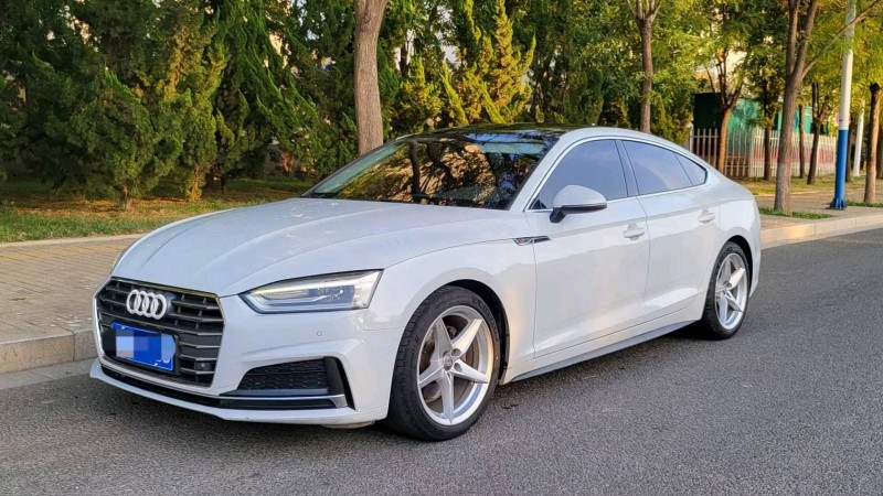 邯郸18年奥迪A52